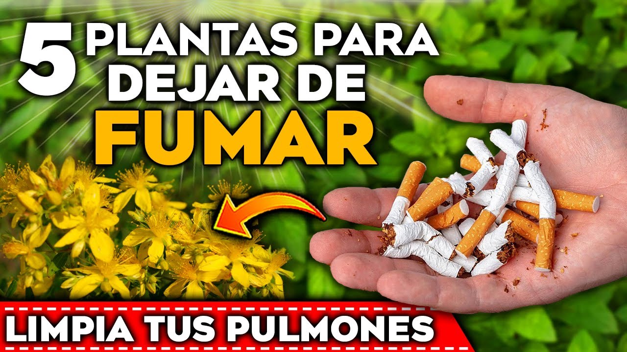 mejores caramelos para dejar de fumar