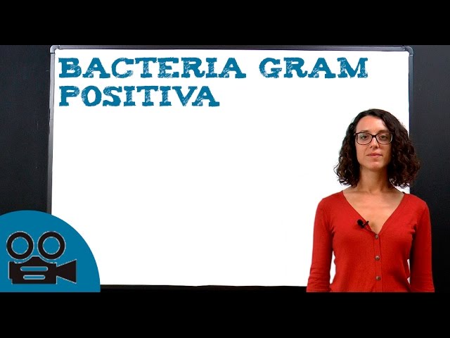 que significa flora mixta gram positiva
