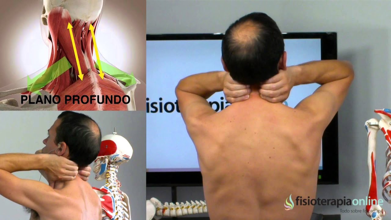 tendinitis en el cuello y hombro