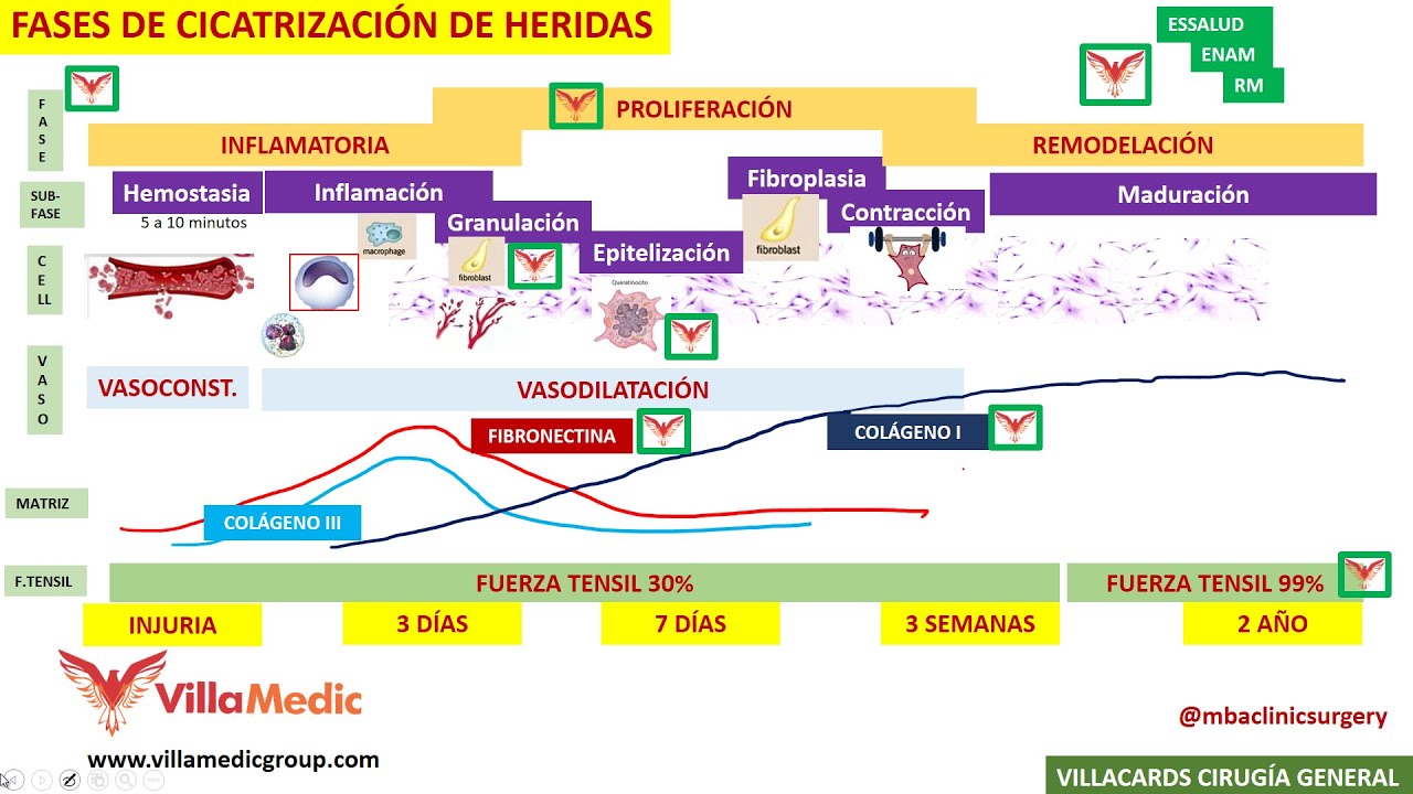 tiempo de cicatrización de una herida quirúrgica