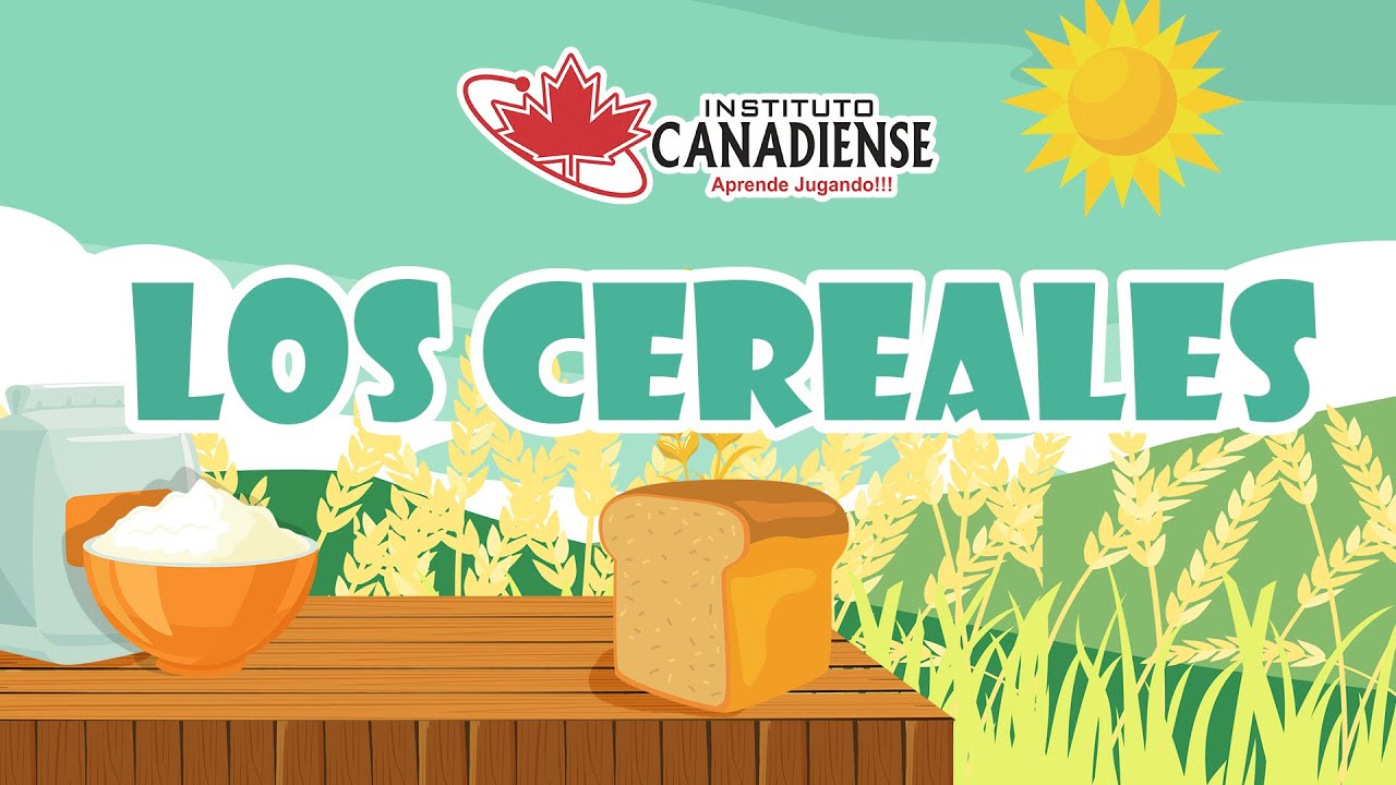 alimentos elaborados a base de cereales y alimentos infantiles