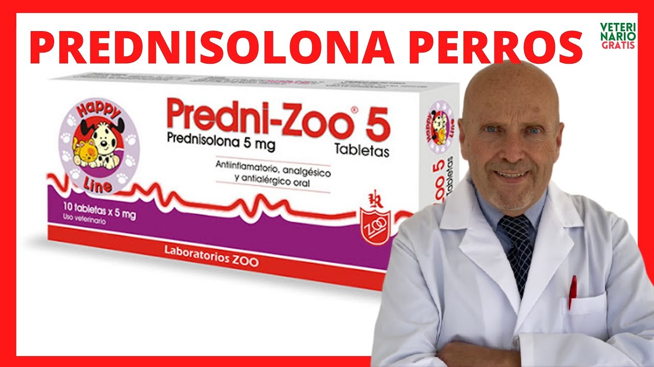 alternativa a los corticoides en perros