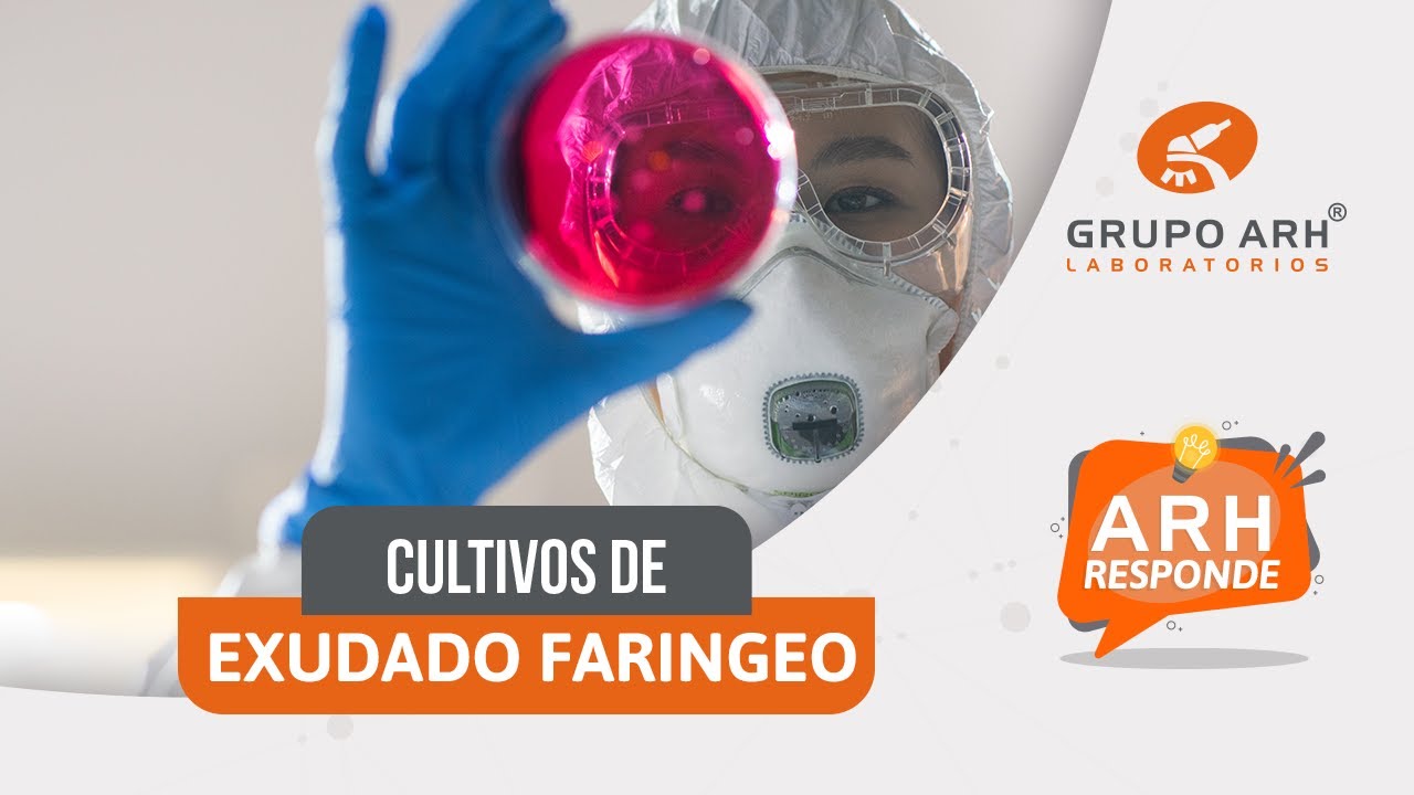 cuanto tardan los resultados de un exudado