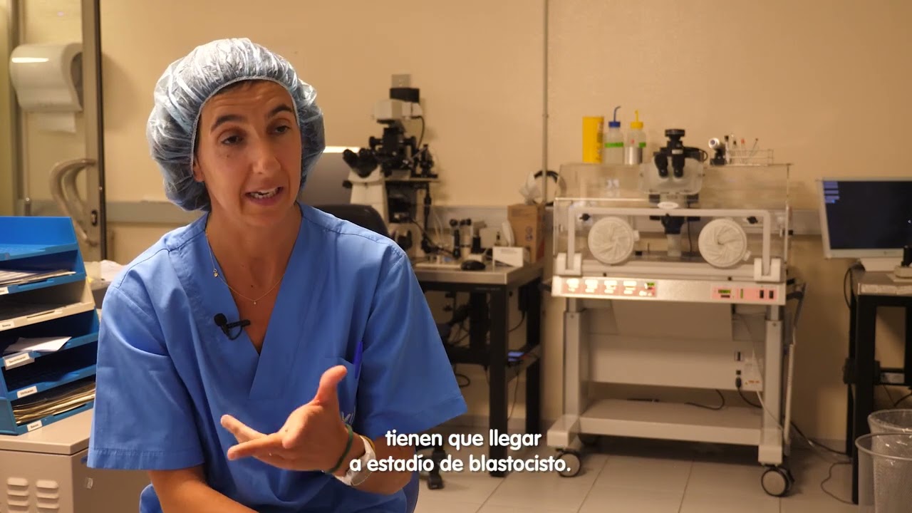 diferencia blastocisto día 5 y 6