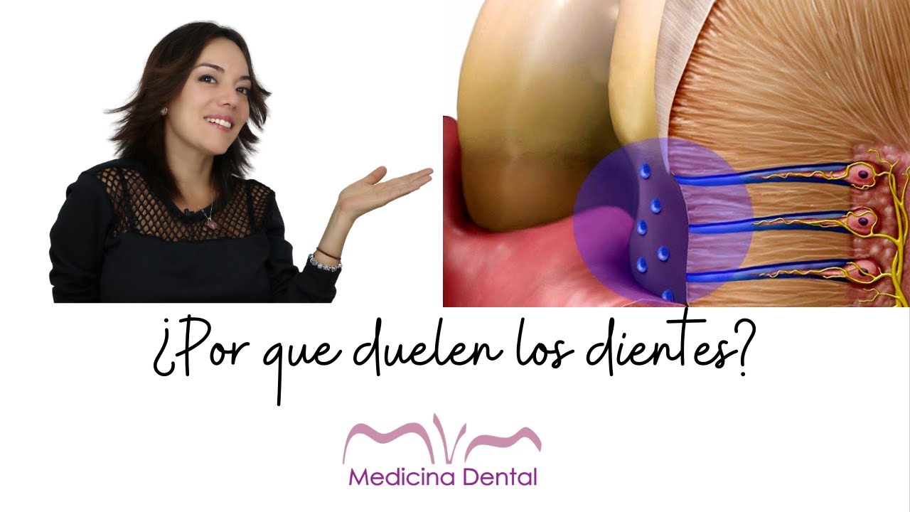 entender por qué duelen los dientes