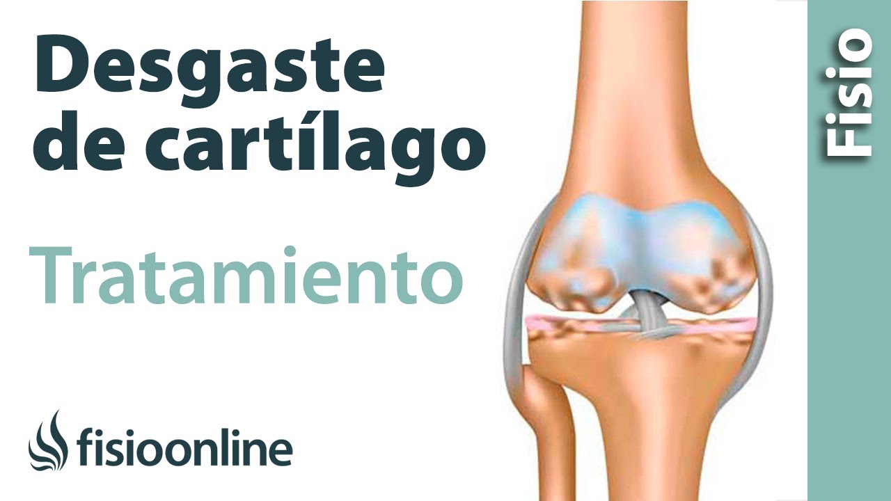 falta de cartilago en la rodilla