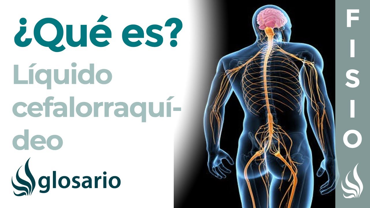 membrana en forma de red que envuelve el estómago