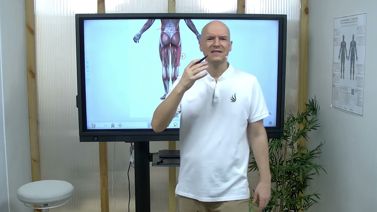rotura biceps femoral tiempo de baja