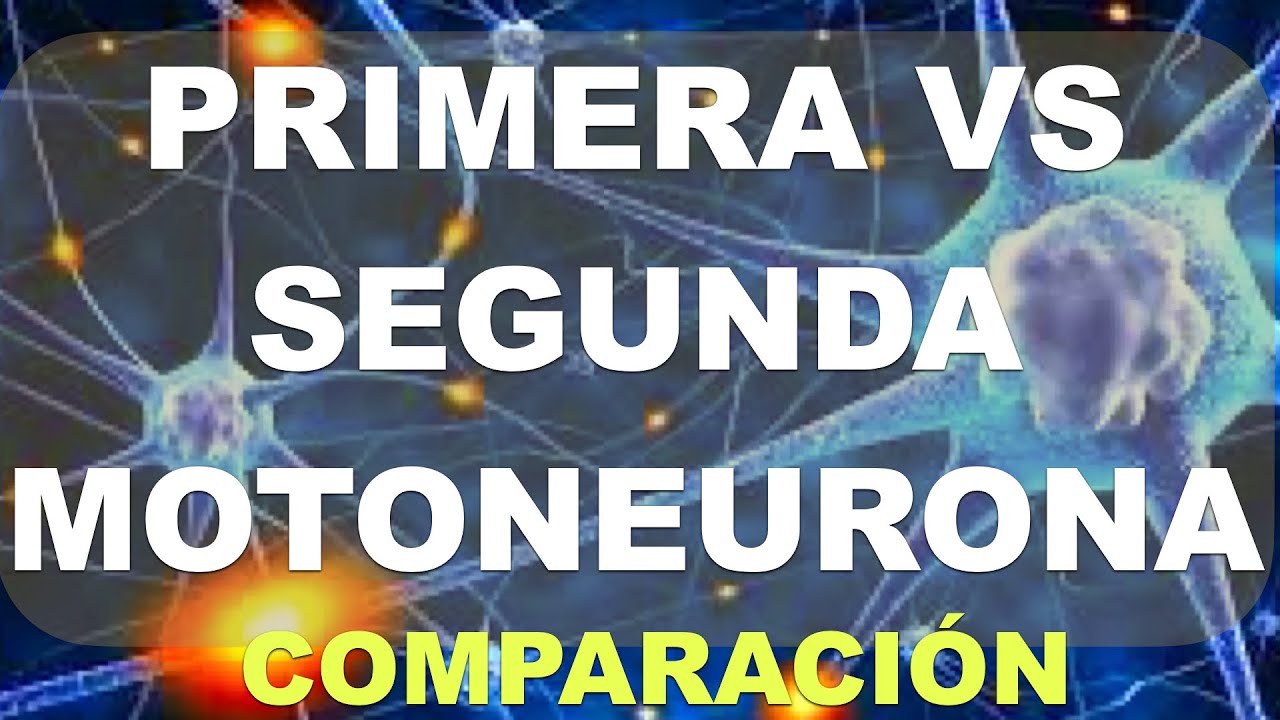 signos de primera y segunda motoneurona