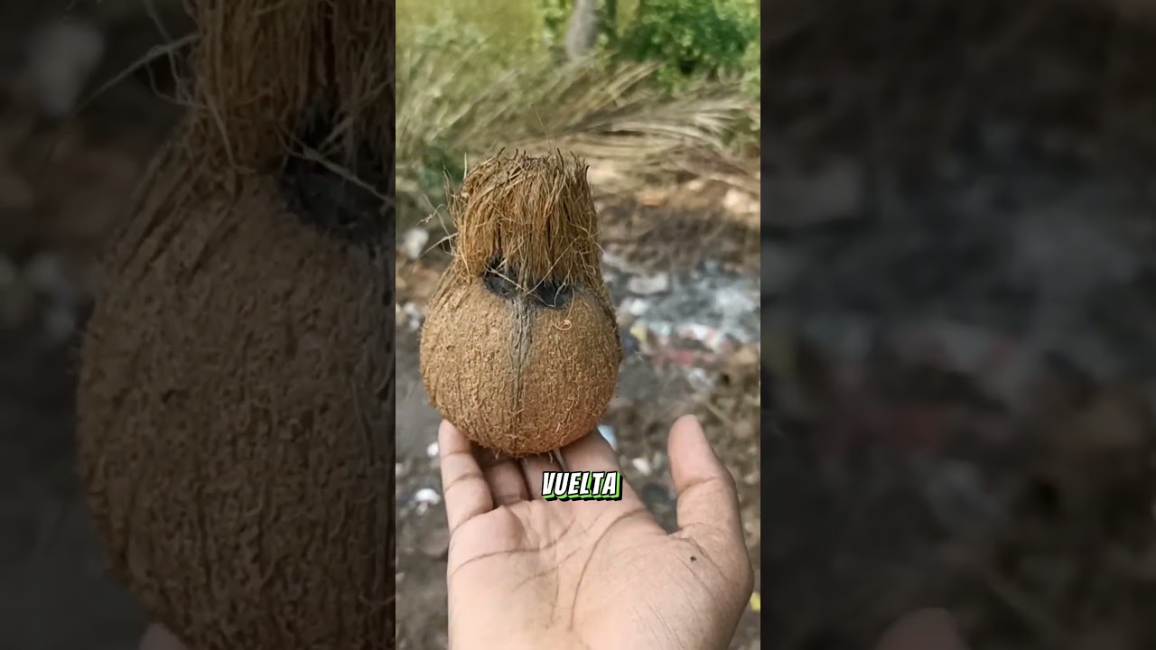 agua de beteta manantial fuente del arca