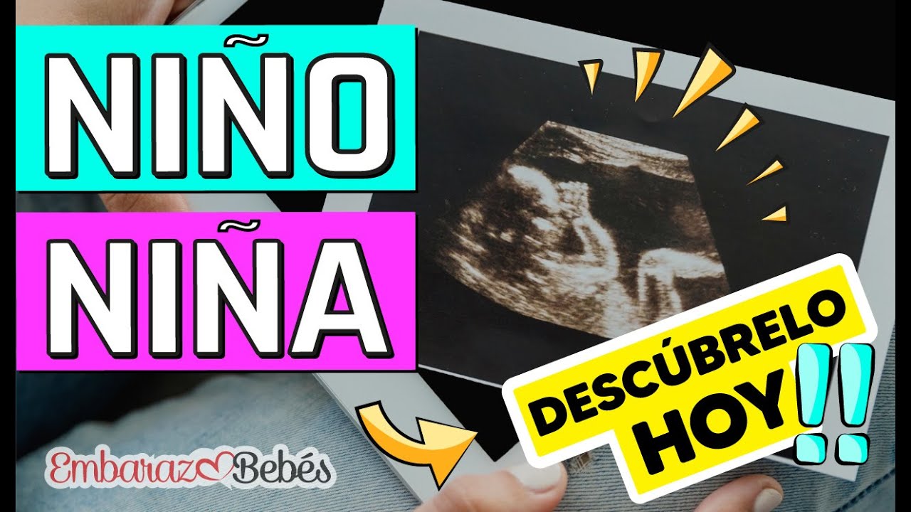 como saber en una eco si es niño o niña