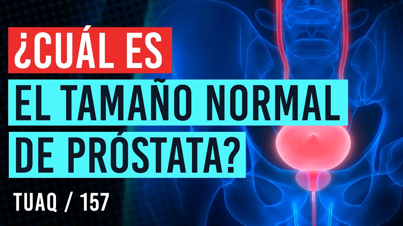 cual es el tamaño normal de la prostata