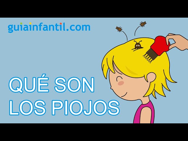las ninfas de piojos ponen huevos