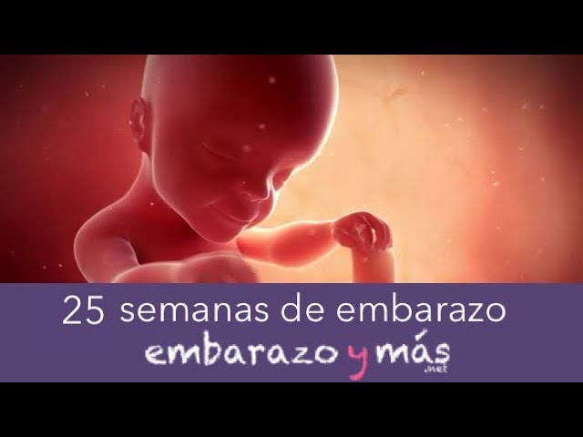 peso del feto a las 25 semanas