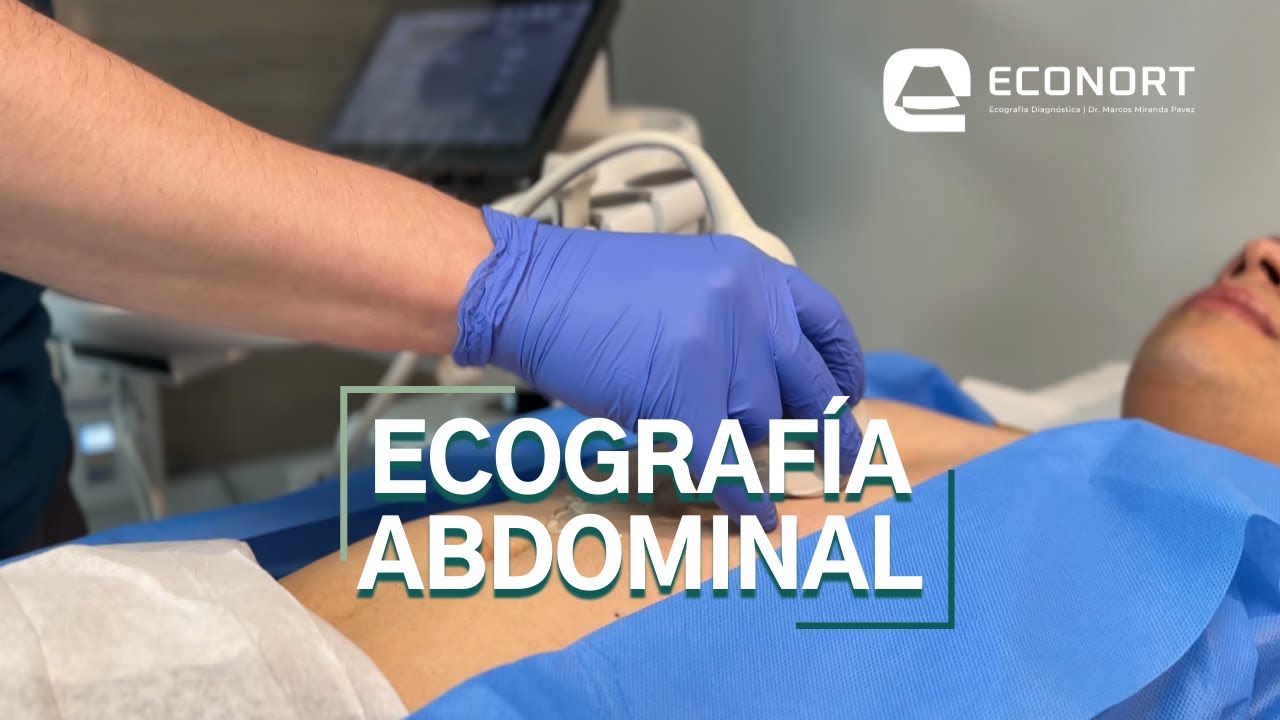 que se ve en una eco abdominal